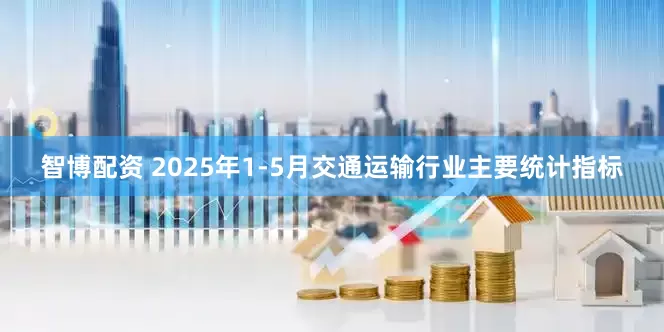 智博配资 2025年1-5月交通运输行业主要统计指标