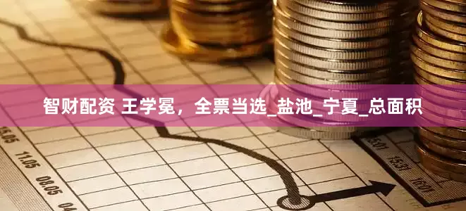 智财配资 王学冕，全票当选_盐池_宁夏_总面积