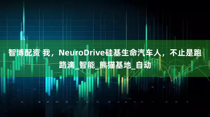 智博配资 我，NeuroDrive硅基生命汽车人，不止是跑路滴_智能_熊猫基地_自动