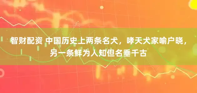智财配资 中国历史上两条名犬，哮天犬家喻户晓，另一条鲜为人知但名垂千古