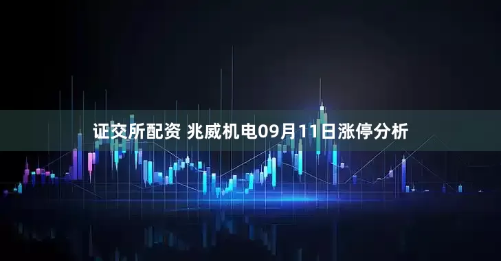 证交所配资 兆威机电09月11日涨停分析