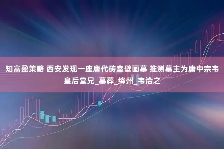 知富盈策略 西安发现一座唐代砖室壁画墓 推测墓主为唐中宗韦皇后堂兄_墓葬_绛州_韦洽之