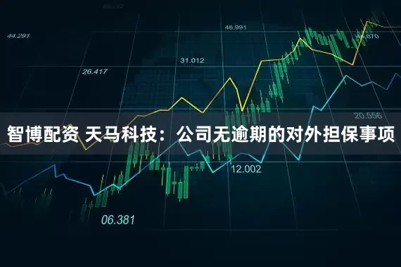 智博配资 天马科技：公司无逾期的对外担保事项